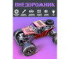  Sharktoys  - Radio Control    1:16 Buggy - Sharktoys  - Radio Control    1:16 Buggy