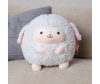   KiDWoW  32 337775507 - DL403213501W__1_.JPG-1670347243