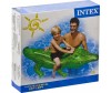  Intex     - Intex    