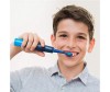  Playbrush      Smart Sonic (2 .) - Playbrush      Smart Sonic (2 .)