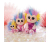   Nici   15  - Nici   15 
