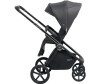  Sweet Baby 3  1 Elegante - Sweet Baby 3  1 Elegante