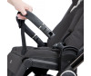  Sweet Baby 3  1 Elegante - Sweet Baby 3  1 Elegante
