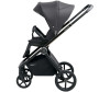  Sweet Baby 3  1 Elegante - Sweet Baby 3  1 Elegante