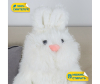   KiDWoW   379833474 - INF_JX605019303W_1-1698785646