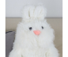   KiDWoW   379833474 - JX605019303W__2__1_.JPG-1698784244