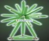  Plastwood Supermag Maxi Glow 66 - Plastwood Supermag Maxi Glow 66