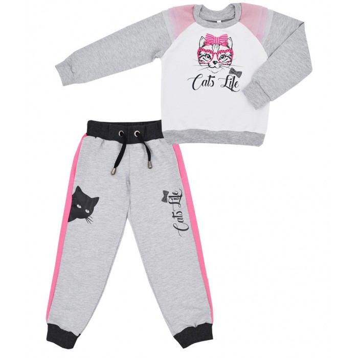       Cats 2370005121