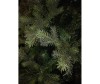  Green Trees    180  - Green Trees    180 