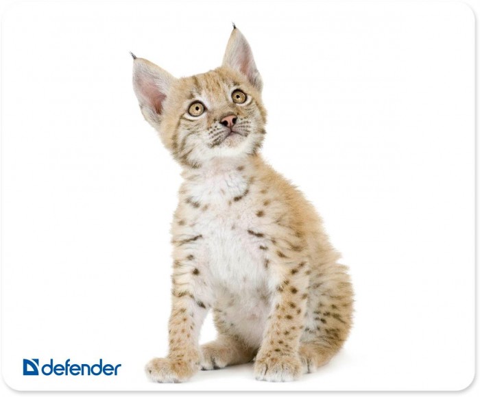  Defender    