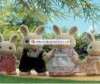  Sylvanian Families      - Sylvanian Families     