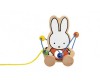   Totum Miffy    - Totum Miffy   