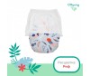  Offspring -  XXL (15-23 ) 24 . - Offspring -  XXL (15-23 ) 24 .