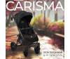   Sweet Baby Carisma - Sweet Baby Carisma