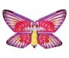  Flying Fairy ,    - Flying Fairy ,   
