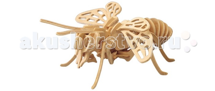  Wooden Toys    