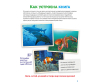      , , - - 05_Africa_Page_04-1675863478