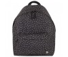  Brauberg   -  - Brauberg   - 