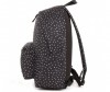  Brauberg   -  - Brauberg   - 
