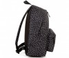  Brauberg   -  - Brauberg   - 