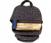  Brauberg   -  - Brauberg   - 