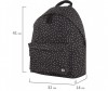  Brauberg   -  - Brauberg   - 
