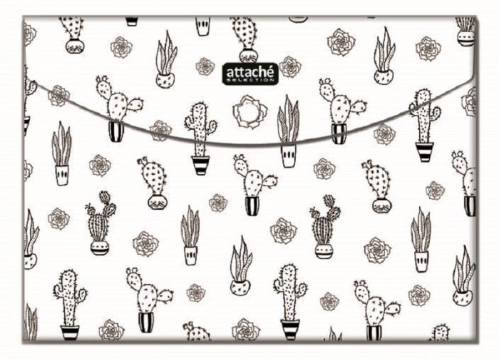  Attache     Llamas 5