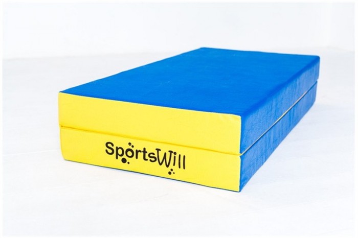  SportsWill    10010010 