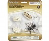  Safari Ltd.     - Safari Ltd     