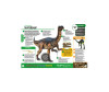   Kidzlab   / -  Kidzlab   /