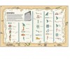   kids        - -   .   . 