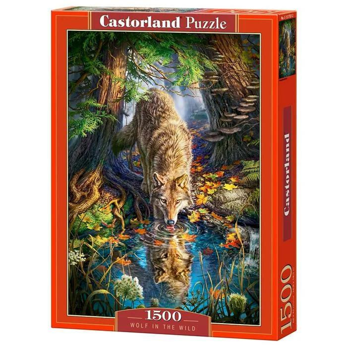  Castorland      (1500 )