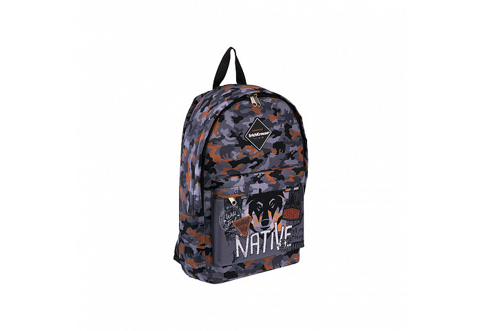  ErichKrause  EasyLine Rough Native 12 
