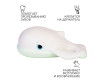  Oli&Carol WAlter The Whale    - Oli&Carol WAlter The Whale   