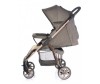   Everflo Rover E-470 - Everflo Rover E-470