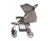   Everflo Rover E-470 - Everflo Rover E-470