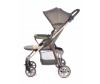   Everflo Rover E-470 - Everflo Rover E-470