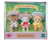  Sylvanian Families      - Sylvanian Families     