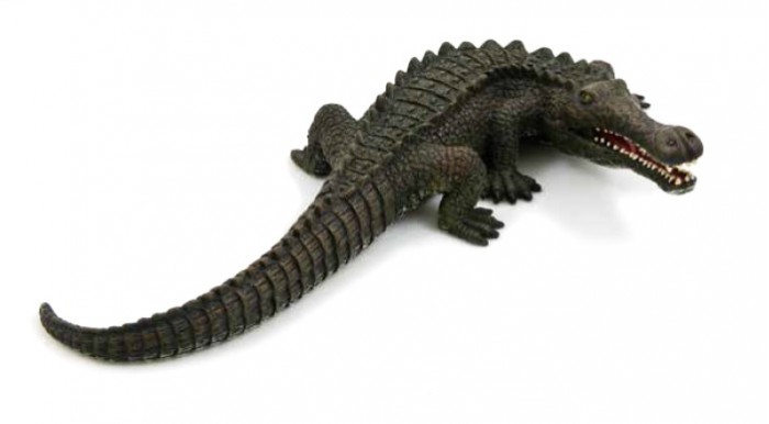  Mojo Animal Planet  XL