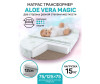  AmaroBaby  / Aloe Vera Magic 1257512 - AmaroBaby  / Aloe Vera Magic 1257512