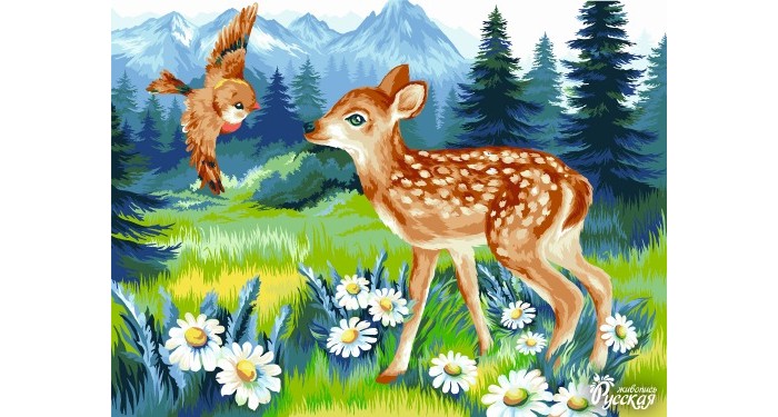  ������� �������� ��������� �� ������� ������ ���������� 40�30 ��