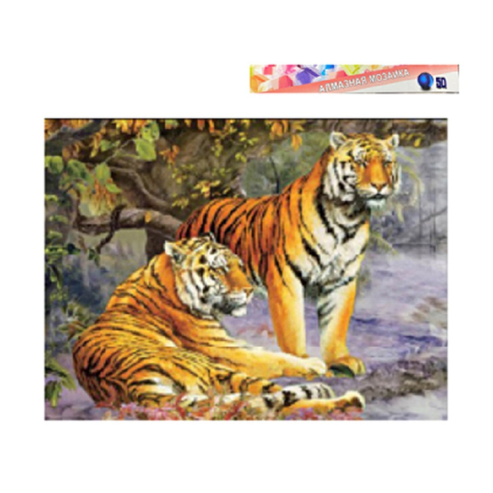  Bikson   5040      200713614