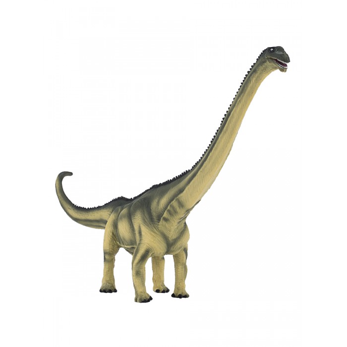  Mojo  Animal Planet  Deluxe II