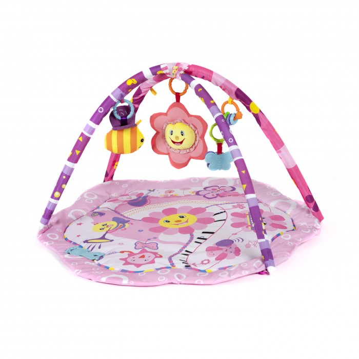   FunKids Rosie Sun Gym