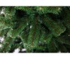 Crystal Trees    210  - Crystal Puzzle    210 