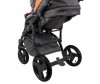  Adamex Massimo Sport  2  1 - Adamex Massimo Sport 2  1