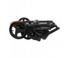  Adamex Massimo Sport  2  1 - Adamex Massimo Sport 2  1