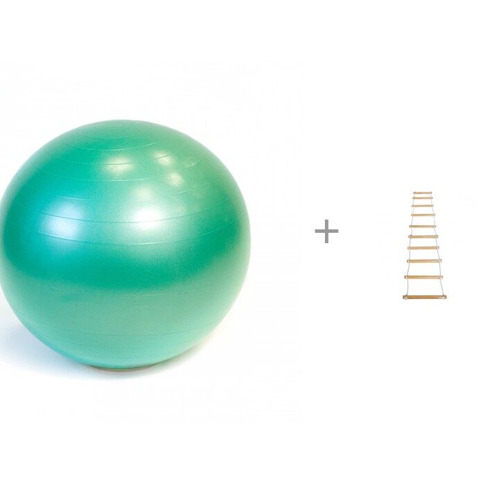  Gymnic Plus    65     