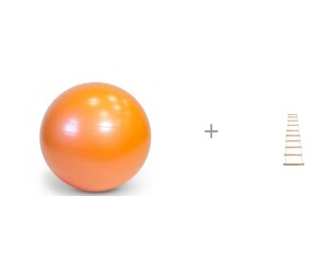  Gymnic Plus    65      - 