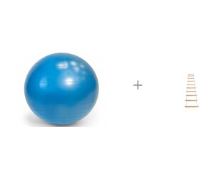  Gymnic Plus    65      - 
